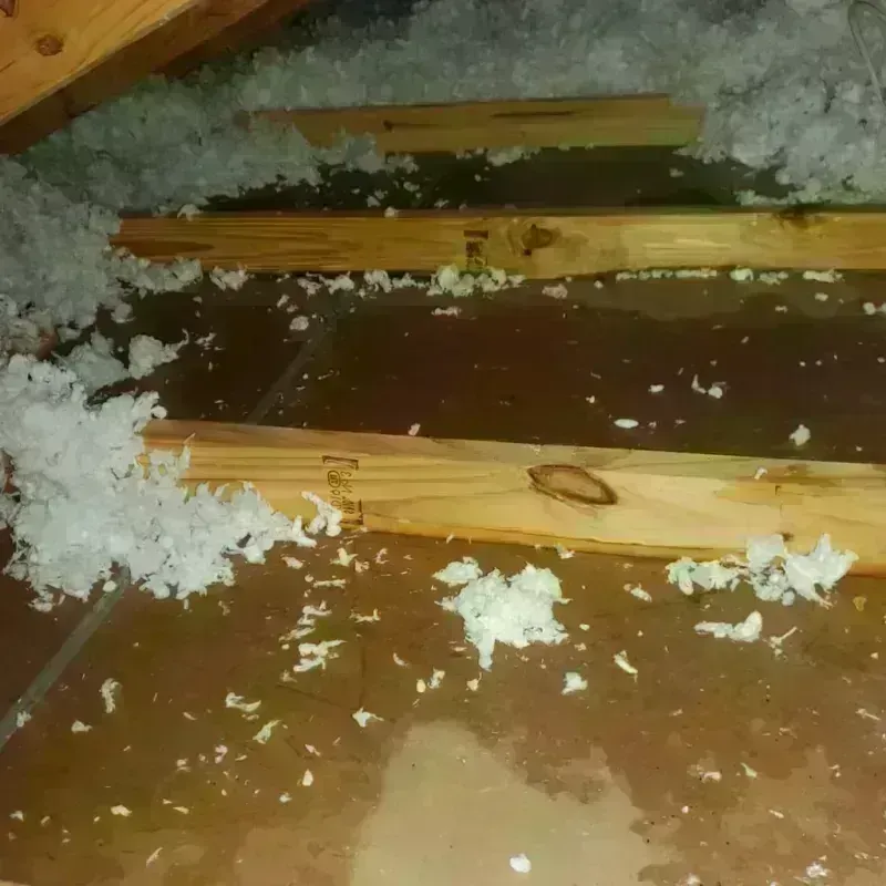 Attic Water Damage in Pleasant Hill, IA