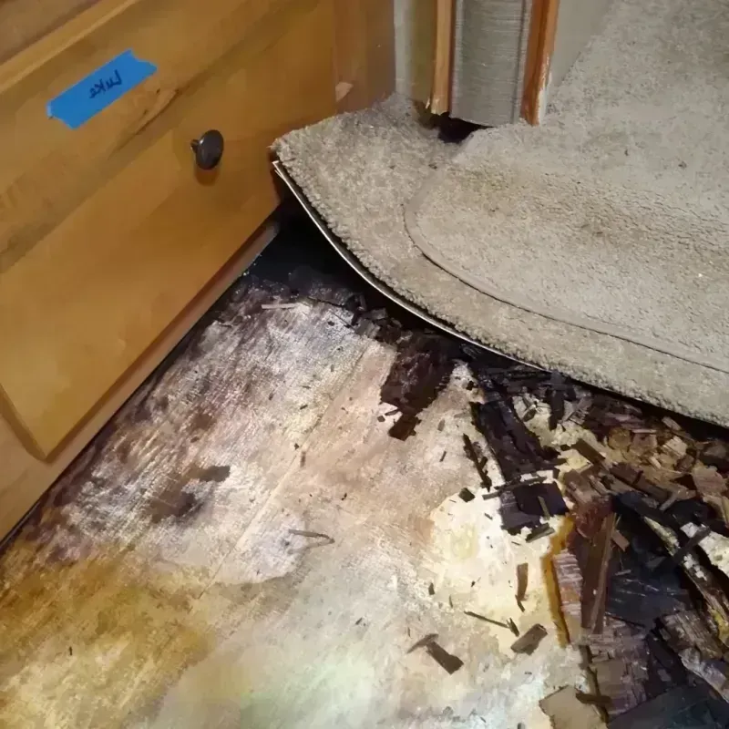 Best Wood Floor Water Damage Service in Pleasant Hill, IA